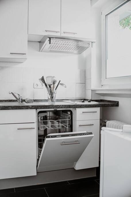 Wiesbaden - Apartment Im Nerotal Exteriör bild